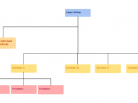 example of organizational chart